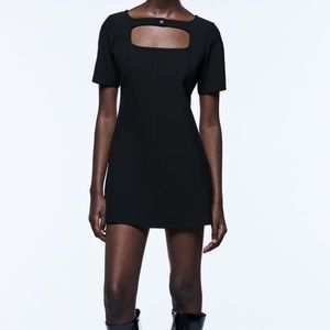 • Zara • Cut Out Dress